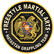Freestyle Martial Arts